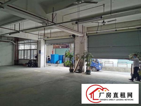  坂田办公仓库180至5000平，适合电商办公，仓库物流，加工