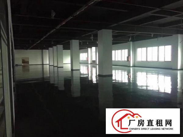  坂田办公仓库180至5000平，适合电商办公，仓库物流，加工