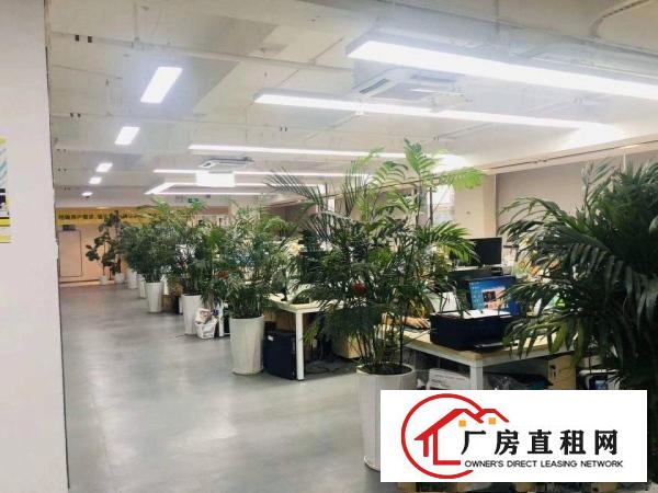  坂田地铁口零距离1900平方开发商直租现成装修电商办公出租