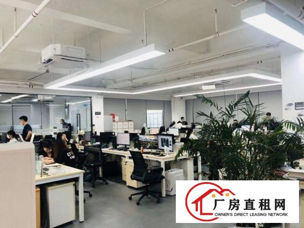  坂田地铁口零距离1900平方开发商直租现成装修电商办公出租