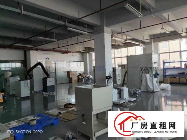  杨美地铁站边新出楼上650平方厂房，带精装修办公室招租