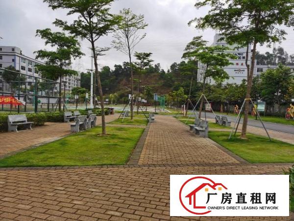  坂田上雪科技园大小面积厂房招租