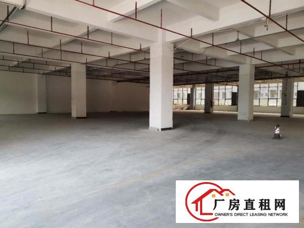  横岗六约埔厦工业区沃尔玛旁私有房源一楼带装修有地坪漆仓库配送