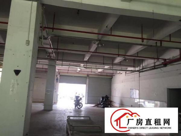  高实用率原业主独门独院办公厂房仓库100平至2000平