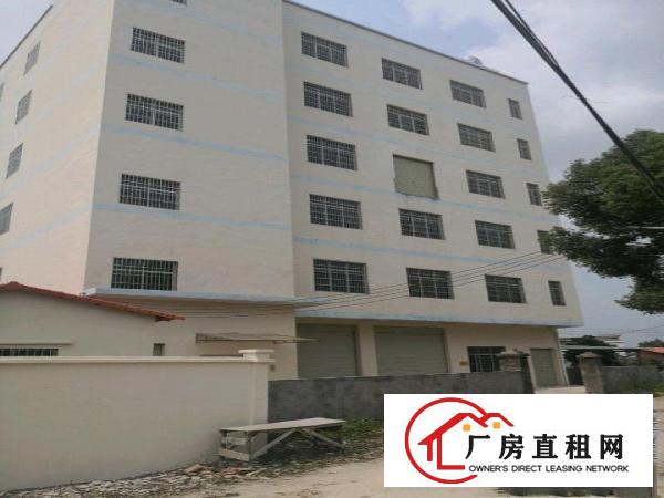  一手房东厂房出租，一楼300平米，8元每平米
