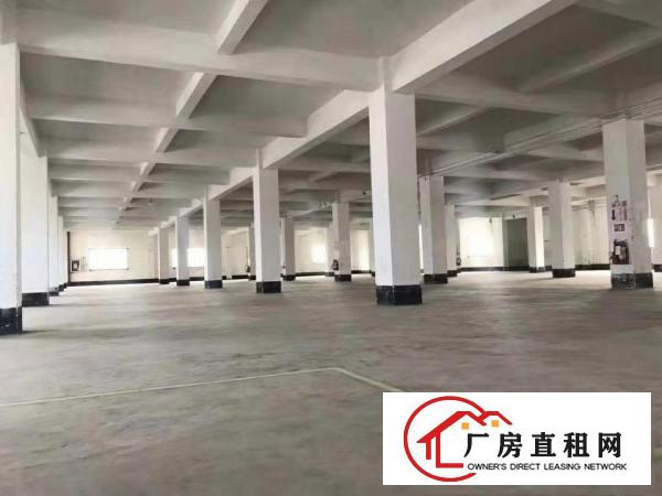  博罗县20000㎡标准花园厂房空地3500㎡