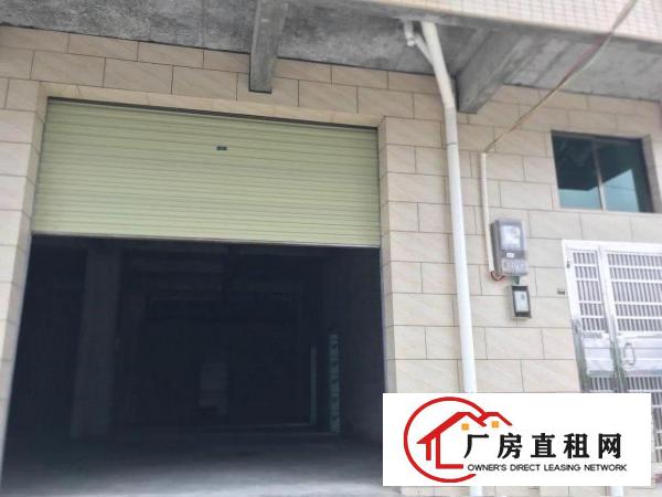  博罗龙溪小蓬岗村曙光小学附近整栋全新铺面、厂房出租（非中介）