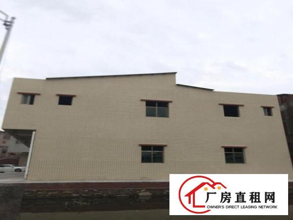  博罗龙溪小蓬岗村曙光小学附近整栋全新铺面、厂房出租（非中介）