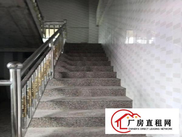  博罗龙溪小蓬岗村曙光小学附近整栋全新铺面、厂房出租（非中介）