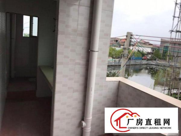  博罗龙溪小蓬岗村曙光小学附近整栋全新铺面、厂房出租（非中介）