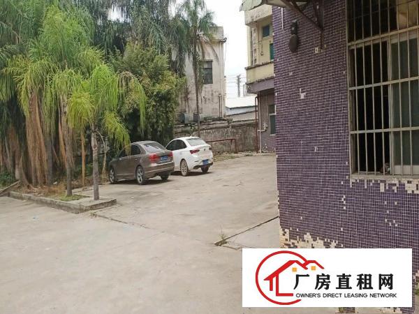  龙溪独院厂房4500平方出租