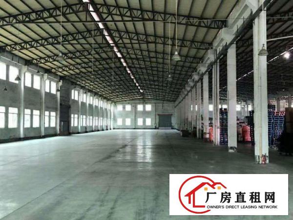  龙溪新出独门独院原房东单一层钢构厂房4500平方