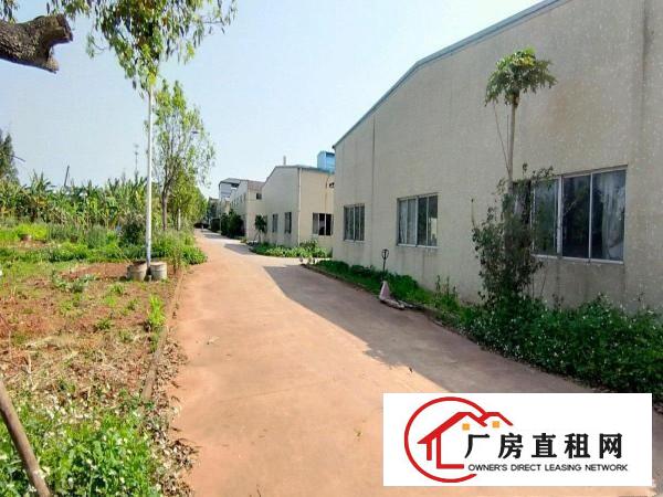  龙溪镇砖墙到顶6000㎡独院花园厂房一手委托随时看房