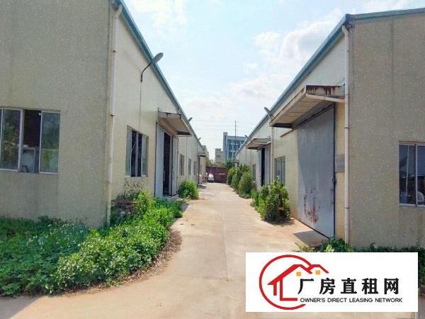  龙溪镇砖墙到顶6000㎡独院花园厂房一手委托随时看房