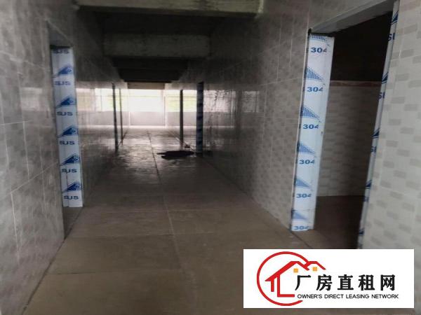  博罗龙溪小蓬岗村曙光小学附近整栋全新铺面、厂房出租（非中介