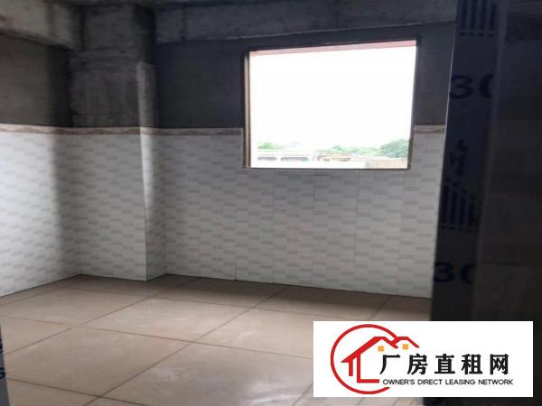  博罗龙溪小蓬岗村曙光小学附近整栋全新铺面、厂房出租（非中介
