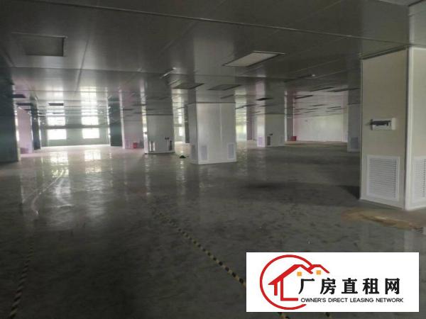  博罗龙溪原房东红本独门独院41800平方厂房出租