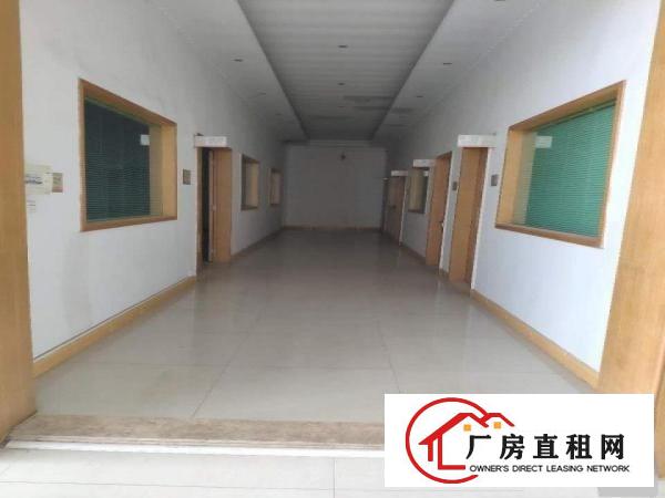  博罗龙溪原房东红本独门独院41800平方厂房出租