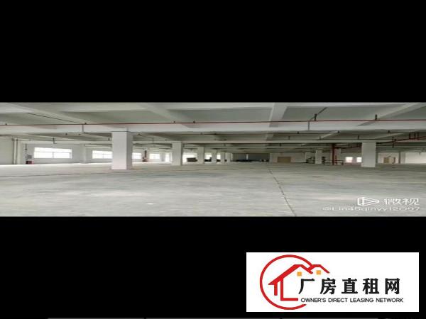  博罗湖镇8000平方高新产业园招租，空地大，带消防喷淋。