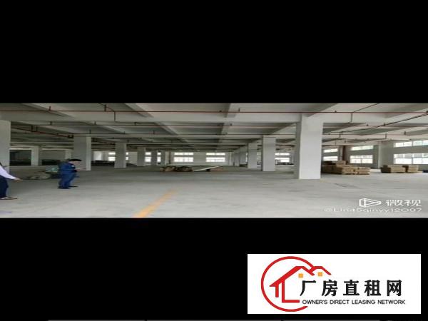  博罗湖镇8000平方高新产业园招租，空地大，带消防喷淋。