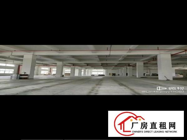  博罗湖镇8000平方高新产业园招租，空地大，带消防喷淋。