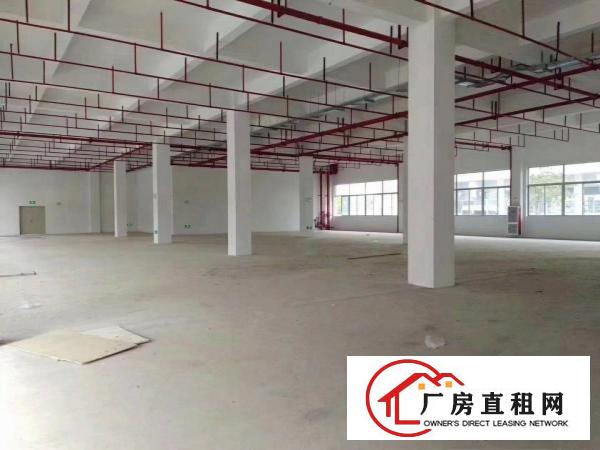  惠州市博罗县龙溪镇大型工业园厂房出租价格便宜