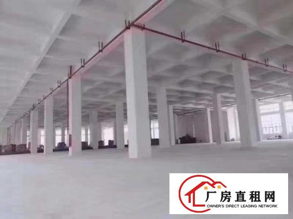  惠州市博罗县龙溪镇大型工业园厂房出租价格便宜