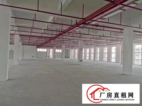  惠州市博罗县龙溪镇大型工业园厂房出租价格便宜