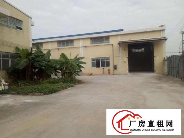  博罗龙溪工业区滴水单一层钢结构厂房2400平方出租