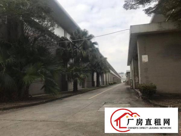  龙华30000平方单一层砖墙到顶有国土证