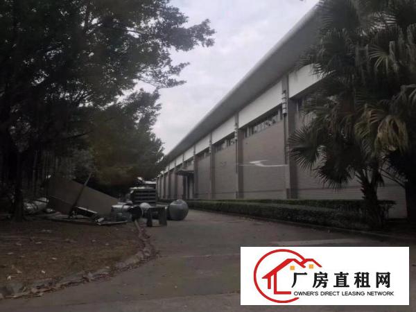  龙华30000平方单一层砖墙到顶有国土证