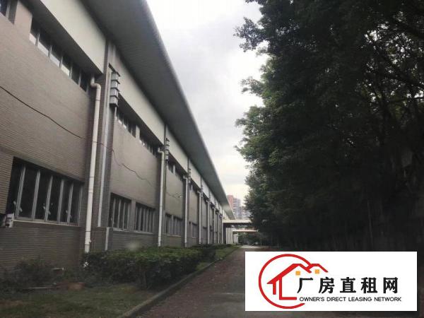  龙华30000平方单一层砖墙到顶有国土证