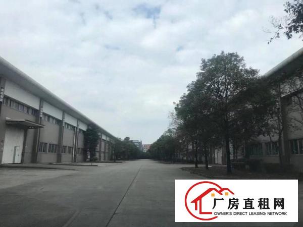  龙华30000平方单一层砖墙到顶有国土证