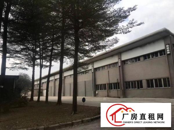  龙华30000平方单一层砖墙到顶有国土证