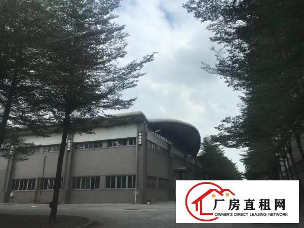  龙华30000平方单一层砖墙到顶有国土证