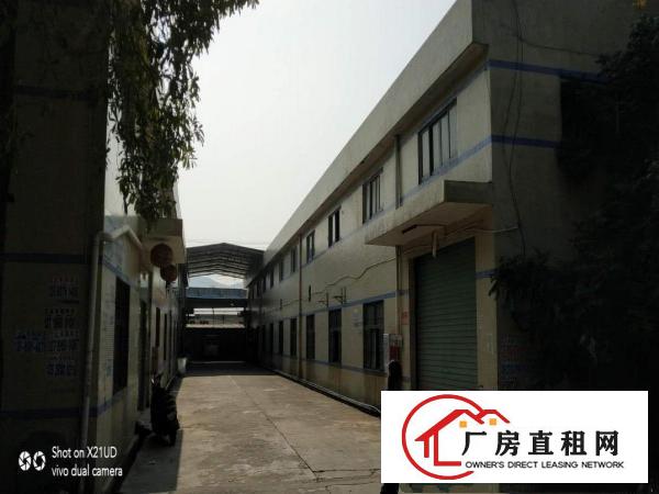  博罗县龙溪正规工业园钢结构滴水8米20000平方厂房招租