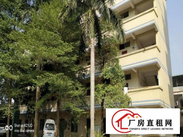  博罗县龙溪正规工业园钢结构滴水8米20000平方厂房招租