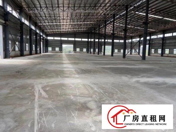  龙溪镇经典小独出租面2000平方