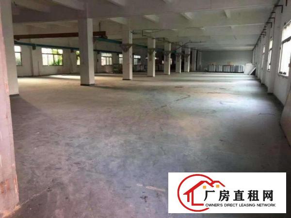  龙溪镇新出独门独院花园式带红本厂房11000平方出租