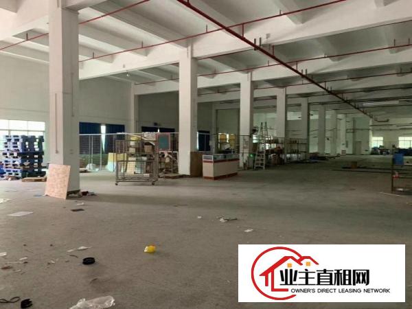  博罗龙溪独门独院砖墙到顶原房东单一层滴水8米4000平米厂房