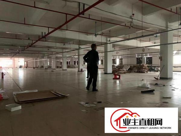  博罗龙溪独门独院砖墙到顶原房东单一层滴水8米4000平米厂房