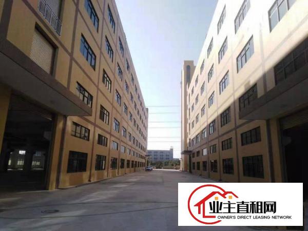  博罗龙溪新建标准带红本工业厂房24000平方出租