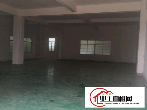  博罗龙溪业主6元全新厂房招租，水电齐全，独院，可分租