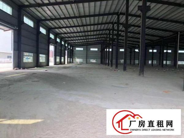  全新钢结构独门独院厂房出租