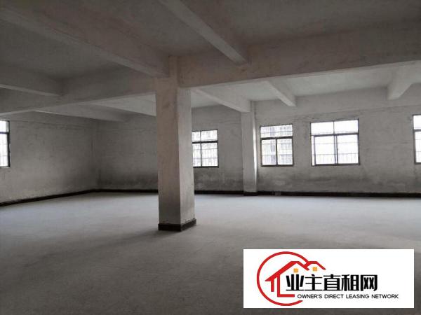  出租石湾石湾城区新建厂房带电梯三相电位置好可分租