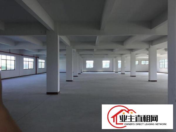  出租石湾源头标准独门独院厂房