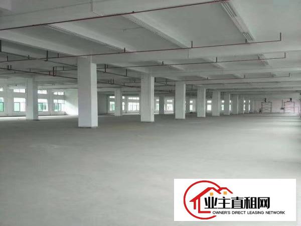  26590平方重工业独院标准电梯厂房，配套宿舍办公楼