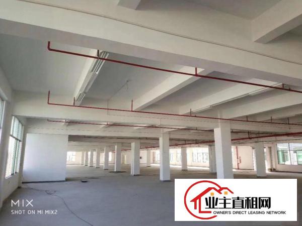  26590平方重工业独院标准电梯厂房，配套宿舍办公楼