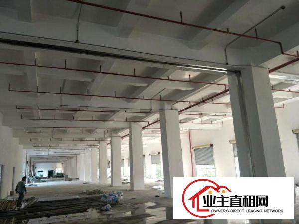  26590平方重工业独院标准电梯厂房，配套宿舍办公楼