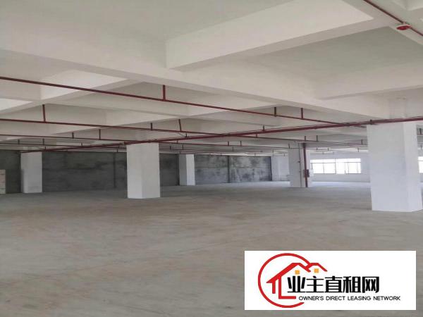  26590平方重工业独院标准电梯厂房，配套宿舍办公楼